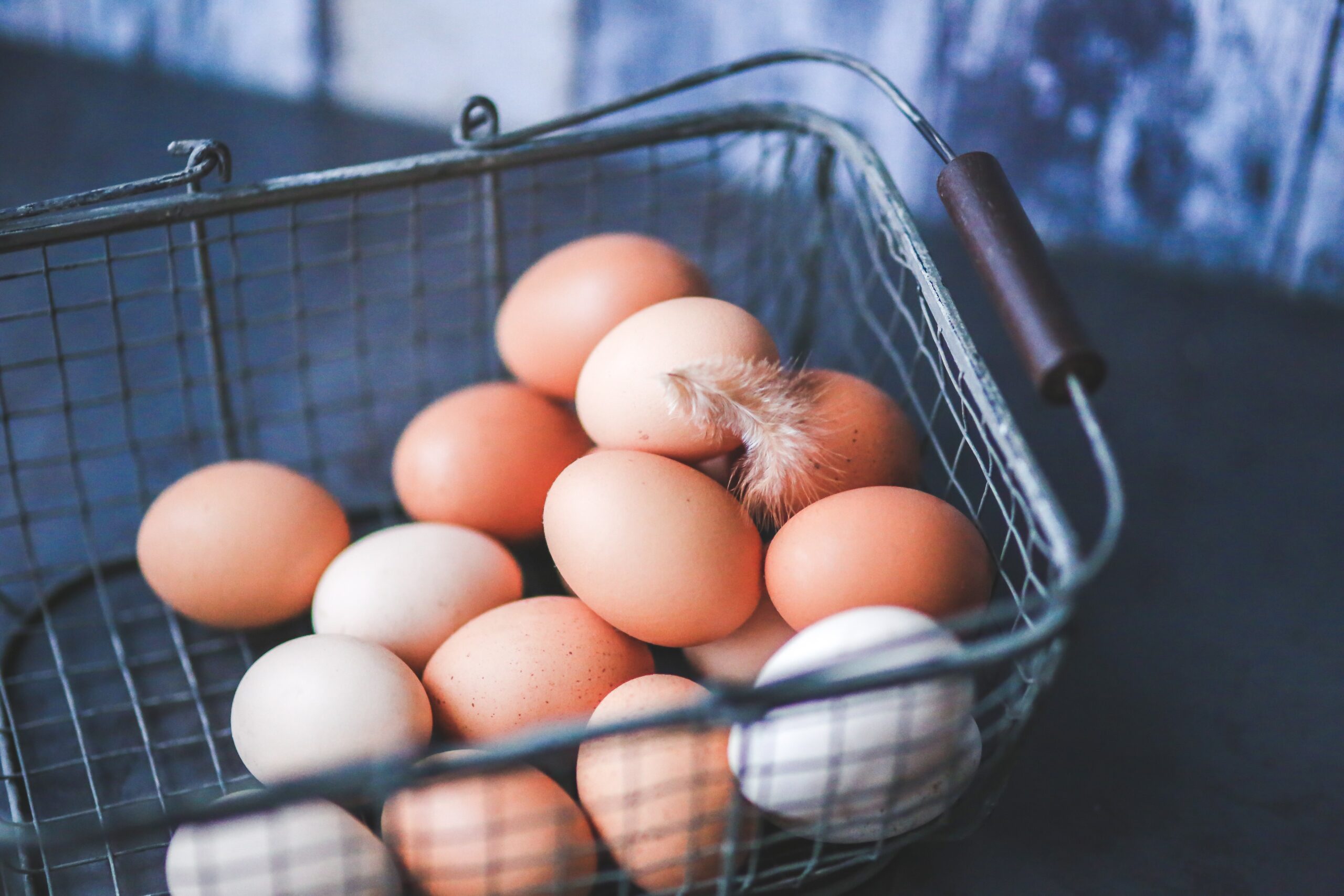 Read more about the article Egg Size Matters…